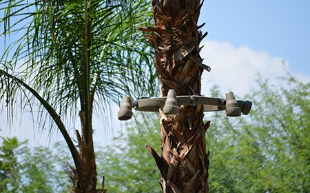 18" Tree Ring with 6 Lights