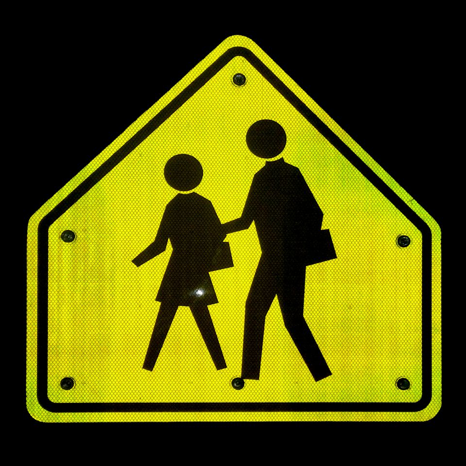 30" LED Flashing School Crossing Sign for Safety