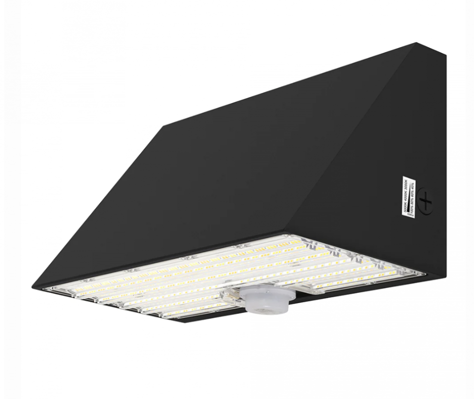 Adjustable Wattage Wallpack