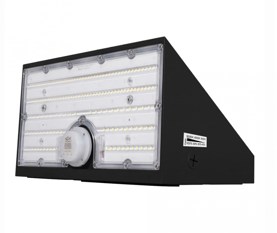 Adjustable Wattage Wallpack