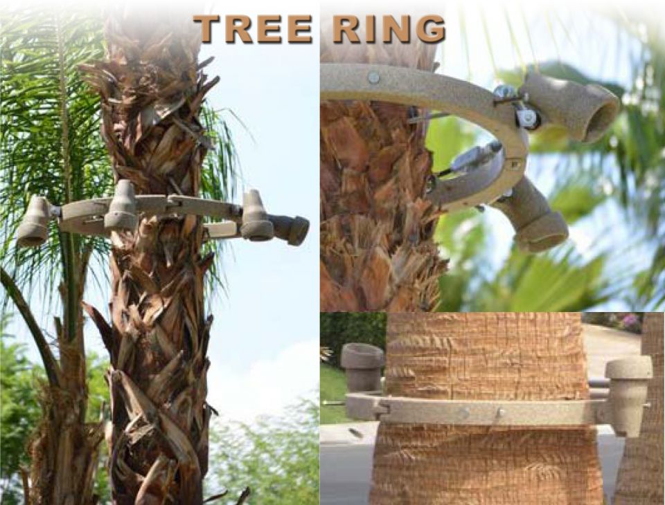 18" Tree Ring with 6 Lights