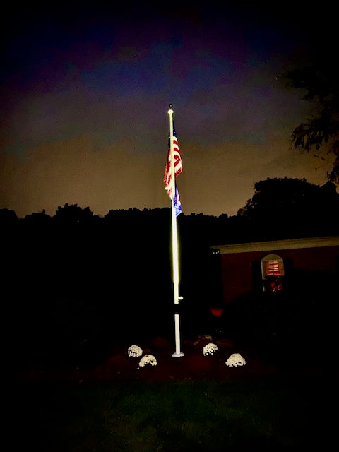 1980lm Solar LED Flag Pole Light for Outdoor Illumination