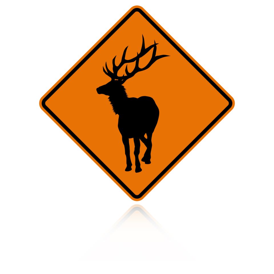 MUTCD W11-20 Elk