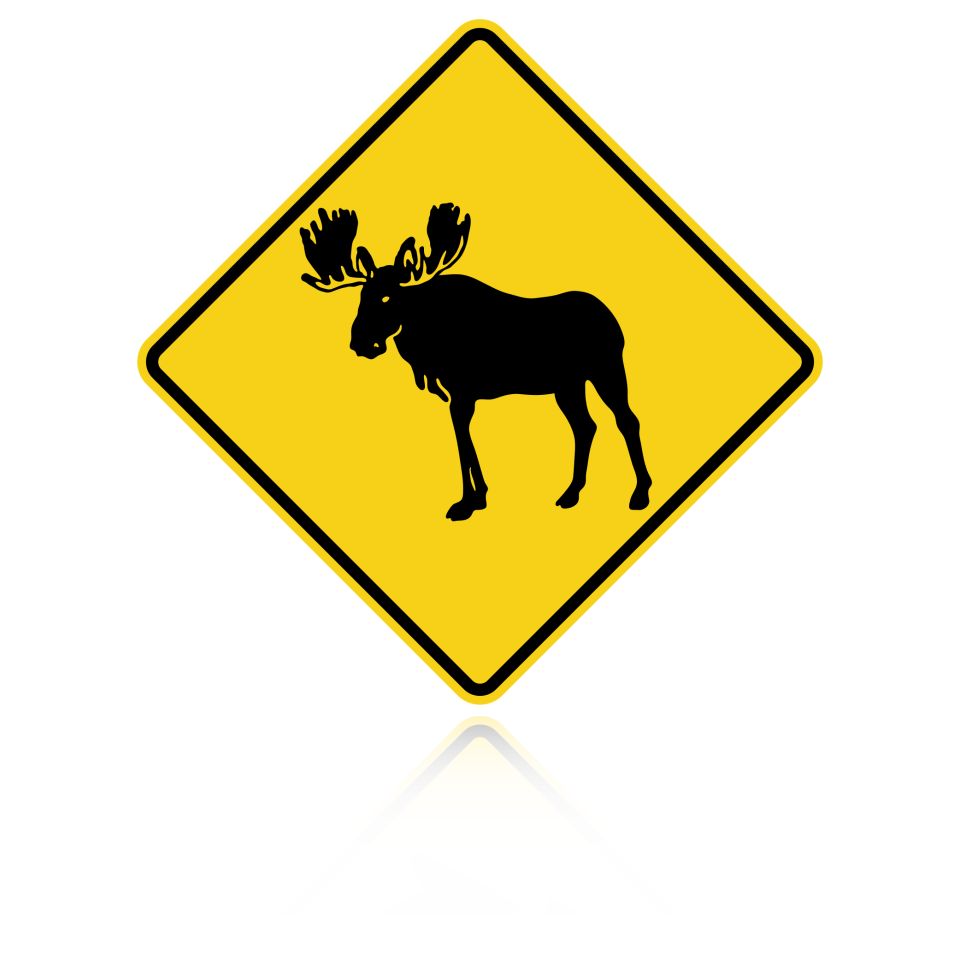 MUTCD W11-21 Moose