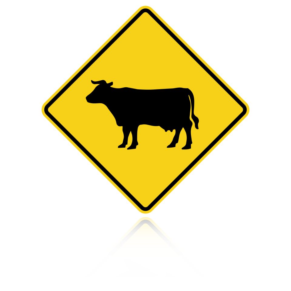 MUTCD W11-4 Cattle