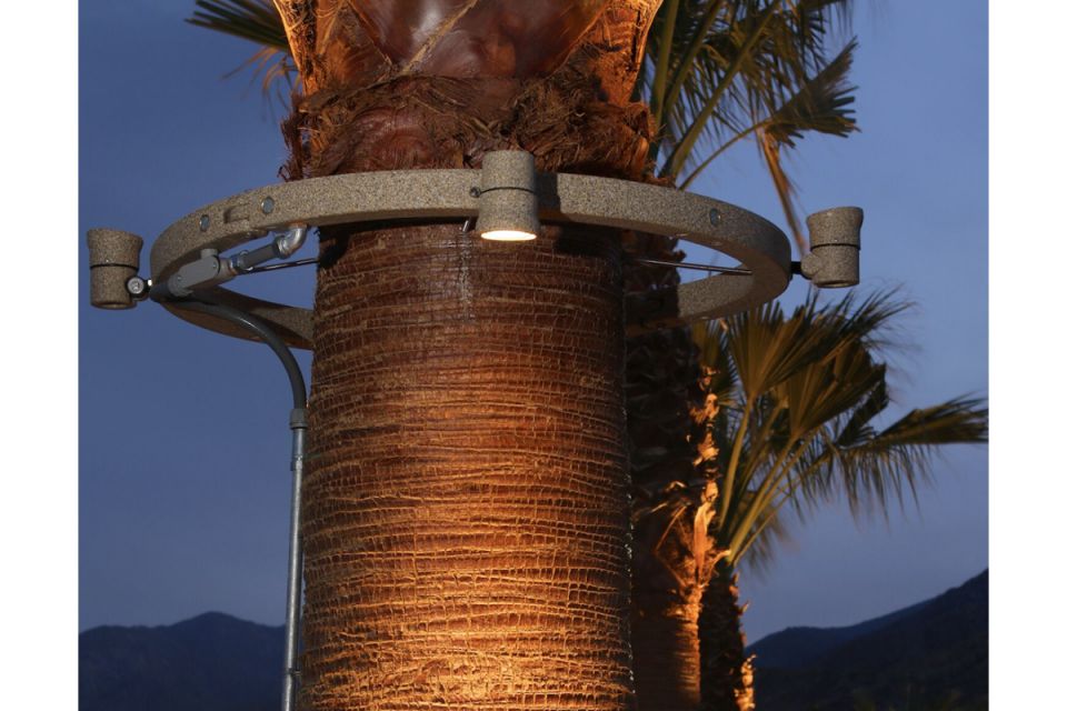 18" Tree Ring with 4 Lights